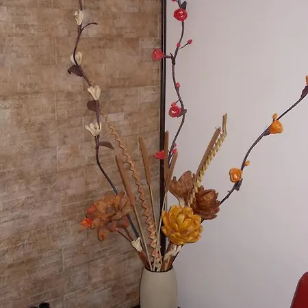 Agrihotel Papaya Hotel 3*