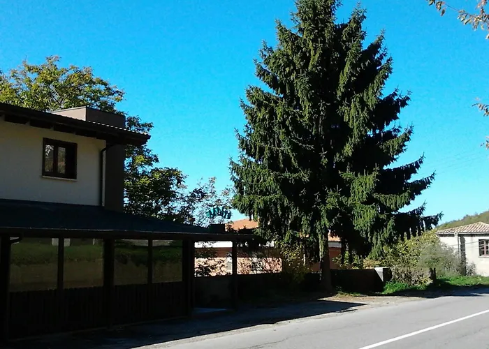 酒店 Agrihotel Papaya San Pietro Apostolo