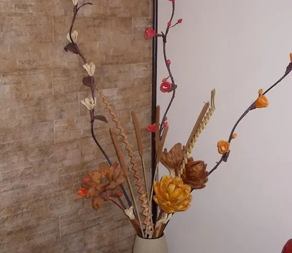 Agrihotel Papaya 酒店 3*